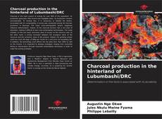 Couverture de Charcoal production in the hinterland of Lubumbashi/DRC
