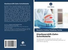Buchcover von Glasfaserstift-Zahn-Schnittstelle