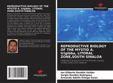 Buchcover von REPRODUCTIVE BIOLOGY OF THE MYSTID A. trigibba, LITORAL ZONE,SOUTH SINALOA