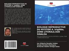 Bookcover of BIOLOGIE REPRODUCTIVE DU MYSTIDE A. trigibba, ZONE LITORALE,SUD SINALOA