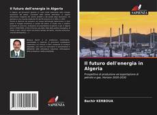 Il futuro dell'energia in Algeria的封面
