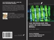 Bookcover of LAS MICROALGAS DEL LAGO DE SIDI MOHAMED BENALI