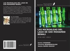 Copertina di LAS MICROALGAS DEL LAGO DE SIDI MOHAMED BENALI