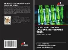 Borítókép a  LE MICROALGHE DEL LAGO DI SIDI MOHAMED BENALI - hoz