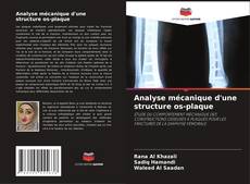 Обложка Analyse mécanique d'une structure os-plaque
