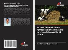 Copertina di Enzimi fibrolitici sulla fermentazione ruminale in vitro della paglia di risaia