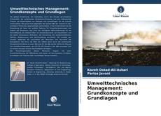 Portada del libro de Umwelttechnisches Management: Grundkonzepte und Grundlagen