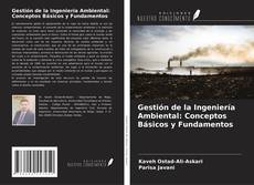 Gestión de la Ingeniería Ambiental: Conceptos Básicos y Fundamentos kitap kapağı