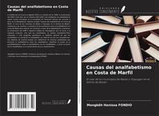Buchcover von Causas del analfabetismo en Costa de Marfil