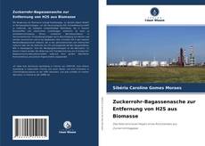 Portada del libro de Zuckerrohr-Bagassenasche zur Entfernung von H2S aus Biomasse