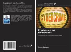 Bookcover of Pruebas en los ciberdelitos