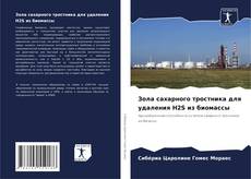 Portada del libro de Зола сахарного тростника для удаления H2S из биомассы