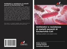 Обложка Antibiotici e resistenza ai metalli pesanti di Escherichia Coli