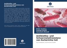 Portada del libro de Antibiotika- und Schwermetallresistenz von Escherichia Coli