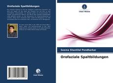 Orofaziale Spaltbildungen kitap kapağı