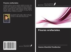 Fisuras orofaciales的封面
