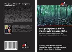 Capa do livro de Una prospettiva sulle mangrovie amazzoniche 