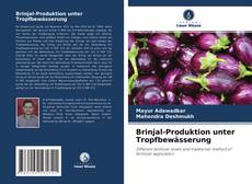 Buchcover von Brinjal-Produktion unter Tropfbewässerung
