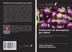Bookcover of Producción de berenjenas por goteo