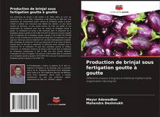 Portada del libro de Production de brinjal sous fertigation goutte à goutte