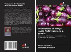 Buchcover von Produzione di Brinjal sotto fertirrigazione a goccia