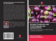 Bookcover of Brinjal Produção sob Fertirrigação por gotejamento