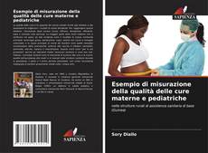 Bookcover of Esempio di misurazione della qualità delle cure materne e pediatriche