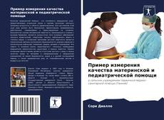 Capa do livro de Пример измерения качества материнской и педиатрической помощи 