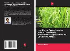 Um Livro Experimental sobre Gestão de Nutrientes Específicos no Local em Arroz kitap kapağı