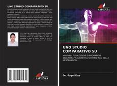 UNO STUDIO COMPARATIVO SU的封面