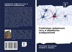 Спайковая нейронная сеть и обработка изображений kitap kapağı