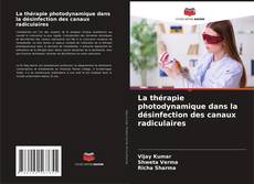 Buchcover von La thérapie photodynamique dans la désinfection des canaux radiculaires
