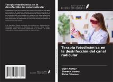 Buchcover von Terapia fotodinámica en la desinfección del canal radicular