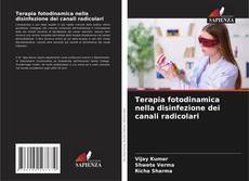 Bookcover of Terapia fotodinamica nella disinfezione dei canali radicolari