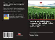 Buchcover von Vigueur et stabilité des semences de maïs hybride et de ses lignées parentales