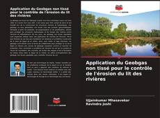 Copertina di Application du Geobgas non tissé pour le contrôle de l'érosion du lit des rivières