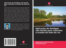 Copertina di Aplicação de Geobgas não-tecido para controlar a erosão do leito do rio