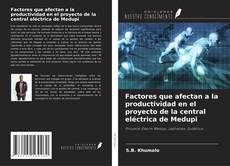 Capa do livro de Factores que afectan a la productividad en el proyecto de la central eléctrica de Medupi 