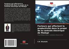 Buchcover von Facteurs qui affectent la productivité dans le projet de la centrale électrique de Medupi