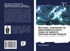 Capa do livro de Факторы, влияющие на производительность труда на проекте электростанции Медупи 