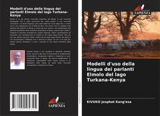 Buchcover von Modelli d'uso della lingua dei parlanti Elmolo del lago Turkana-Kenya
