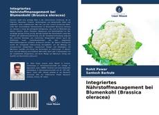 Capa do livro de Integriertes Nährstoffmanagement bei Blumenkohl (Brassica oleracea) 