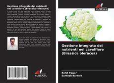Capa do livro de Gestione integrata dei nutrienti nel cavolfiore (Brassica oleracea) 