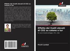 Buchcover von Effetto dei livelli elevati di CO2 su cotone e tur