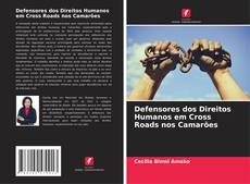 Defensores dos Direitos Humanos em Cross Roads nos Camarões kitap kapağı