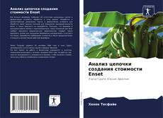 Анализ цепочки создания стоимости Enset kitap kapağı