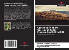 Buchcover von Contribution to the Geology of Tondo, Mwenga South Kivu/DRC