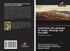 Contributo alla geologia di Tondo, Mwenga Sud Kivu/DRC kitap kapağı