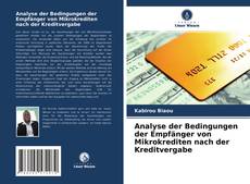 Обложка Analyse der Bedingungen der Empfänger von Mikrokrediten nach der Kreditvergabe