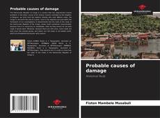 Buchcover von Probable causes of damage